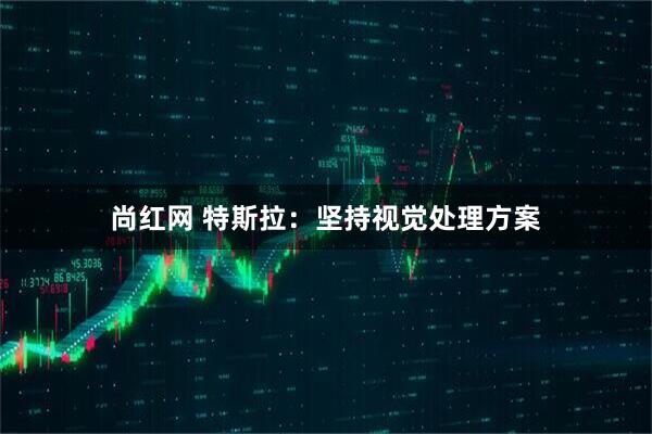 尚红网 特斯拉：坚持视觉处理方案