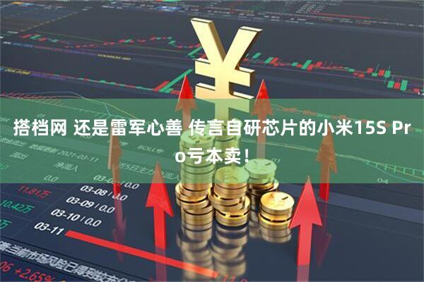 搭档网 还是雷军心善 传言自研芯片的小米15S Pro亏本卖！