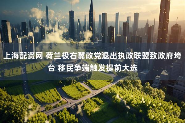 上海配资网 荷兰极右翼政党退出执政联盟致政府垮台 移民争端触发提前大选