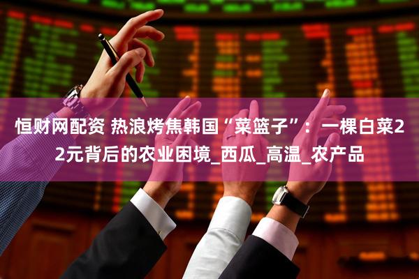 恒财网配资 热浪烤焦韩国“菜篮子”：一棵白菜22元背后的农业困境_西瓜_高温_农产品