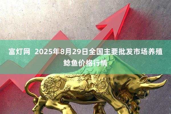 富灯网  2025年8月29日全国主要批发市场养殖鲶鱼价格行情